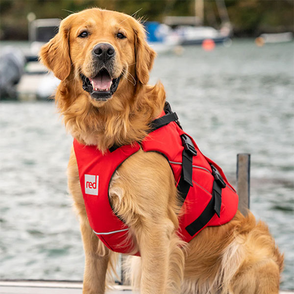 Dog Buoyancy Aid - Labrador