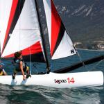 Topaz 14