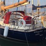 Rustler 42 - Whinchat
