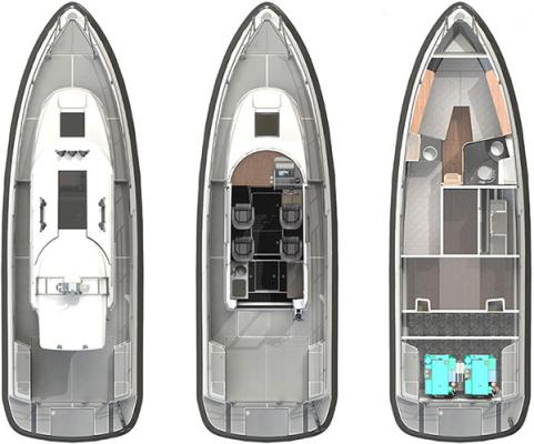 Paragon 31 Cabin Layout