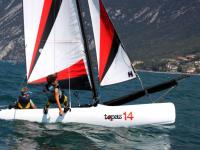 Topaz 14